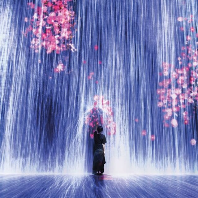 superblue-miami-immersive-art-experience-feat-teamlab_1